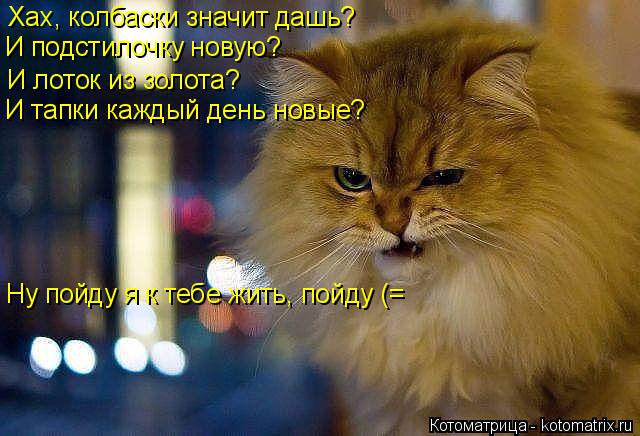 Хах, колбаски значит дашь? И подстилочку новую? И лоток из золота? И тапки каждый день новые? Ну пойд... Котоматрица: Хах, колбаски значит дашь? И подстилочку новую? И лоток из золота? И тапки каждый день новые? Ну пойду я к тебе жить, пойду (=