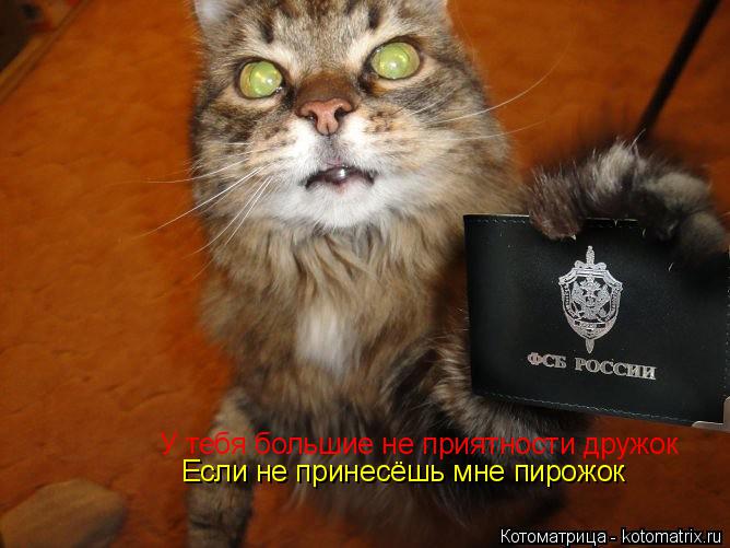 Котоматрица: У тебя большие не приятности дружок Если не принесёшь мне пирожок