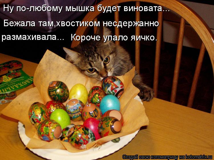 Котоматрица: Ну по-любому мышка будет виновата... Бежала там,хвостиком несдержанно  размахивала... Короче упало яичко.