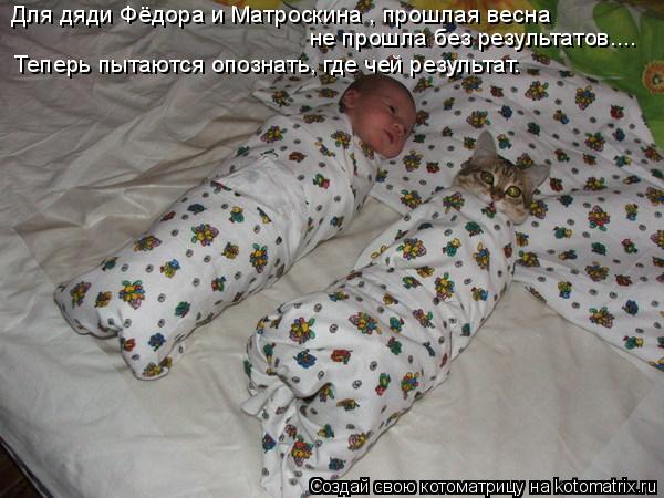 Котоматрица: Для дяди Фёдора и Матроскина , прошлая весна не прошла без результатов.... Теперь пытаются опознать, где чей результат.