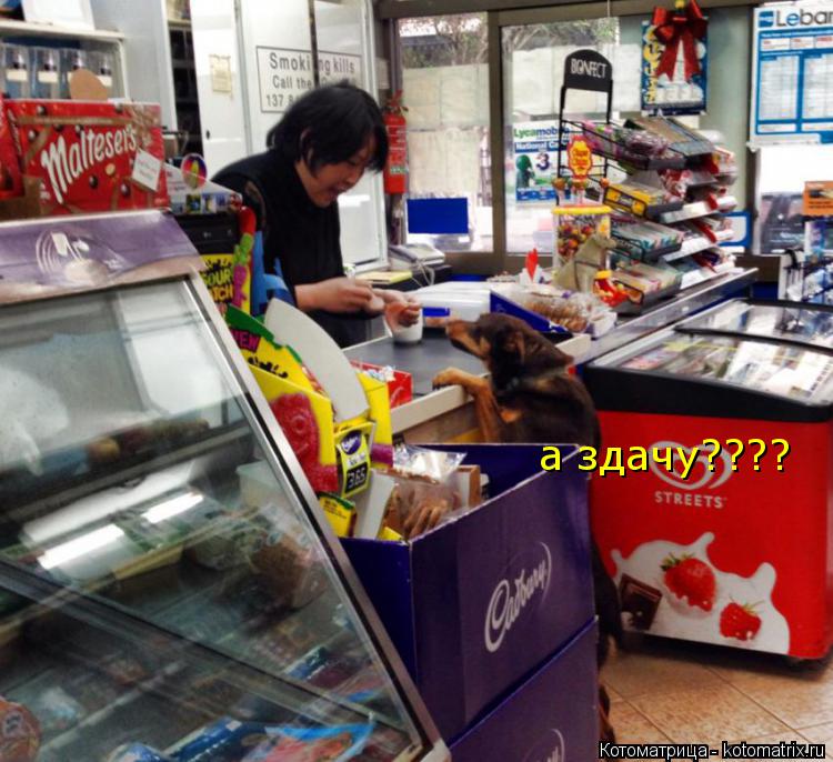 а здачу????... Котоматрица: а здачу????