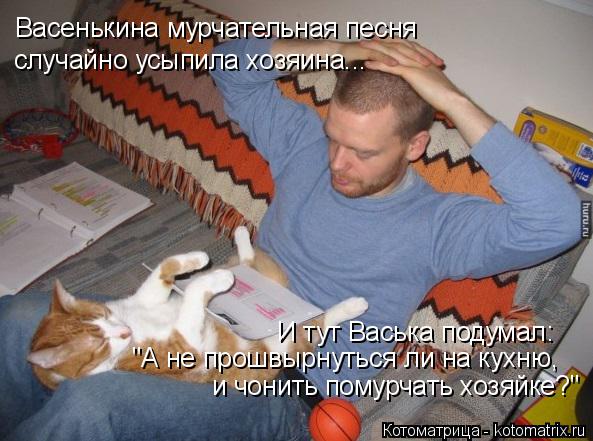 Васенькина мурчательная песня случайно усыпила хозяина... "А не прошвырнуться ли на кухню, и чонить... Котоматрица: Васенькина мурчательная песня случайно усыпила хозяина... "А не прошвырнуться ли на кухню, и чонить помурчать хозяйке?" И тут Васька подума