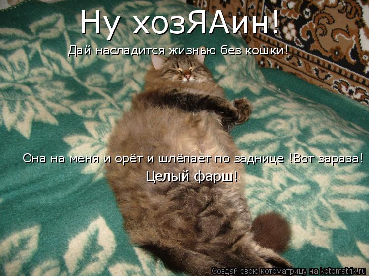 Ну хозЯАин! Дай насладится жизнью без кошки! Она на меня и орёт и шлёпает по заднице !Вот зараза! Цел... Котоматрица: Ну хозЯАин! Дай насладится жизнью без кошки! Она на меня и орёт и шлёпает по заднице !Вот зараза! Целый фарш!