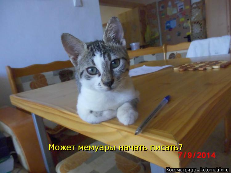 Может мемуары начать писать? Может мемуары начать писать?... Котоматрица: Может мемуары начать писать? Может мемуары начать писать?