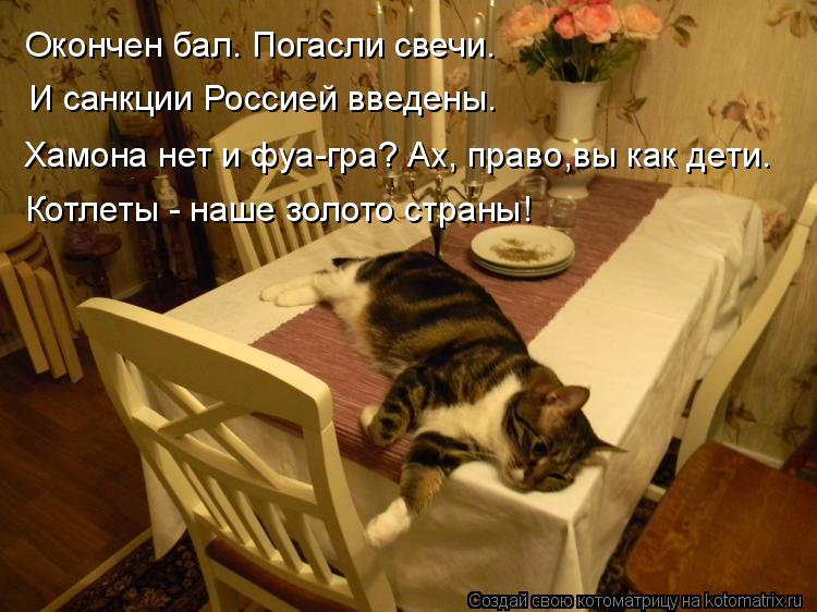 Котоматрица: Окончен бал. Погасли свечи. И санкции Россией введены. Хамона нет и фуа-гра? Ах, право,вы как дети. Котлеты - наше золото страны!