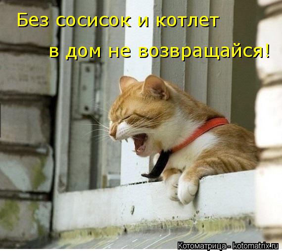 Без сосисок и котлет в дом не возвращайся!... Котоматрица: Без сосисок и котлет в дом не возвращайся!