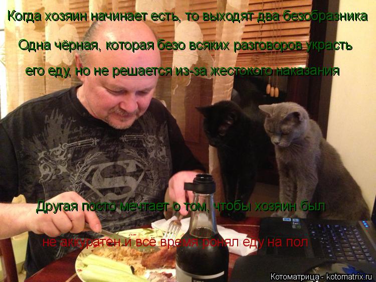 Одна чёрная, которая безо всяких разговоров украсть его еду, но не решается из-за жестокого наказания... Котоматрица: Одна чёрная, которая безо всяких разговоров украсть его еду, но не решается из-за жестокого наказания Другая посто мечтает о том, чтобы хозя