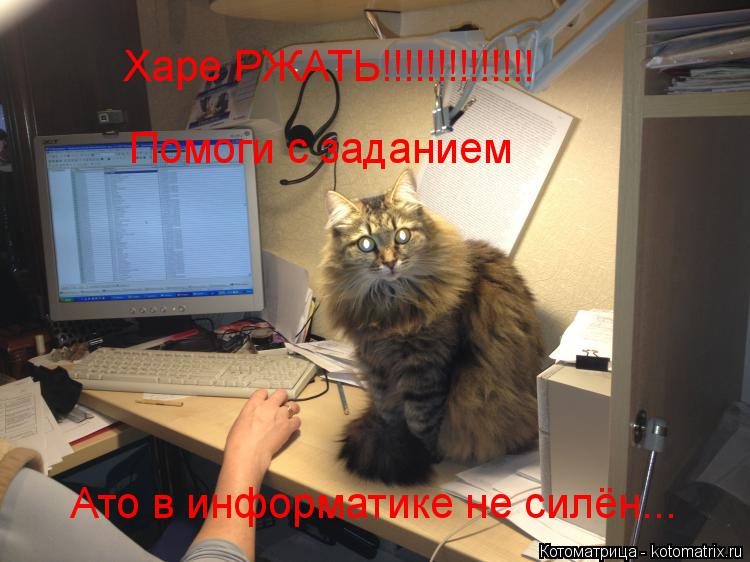 Харе РЖАТЬ!!!!!!!!!!!!!! Помоги с заданием Ато в информатике не силён...... Котоматрица: Харе РЖАТЬ!!!!!!!!!!!!!! Помоги с заданием Ато в информатике не силён...