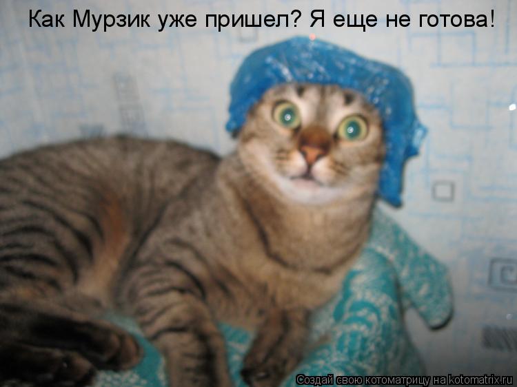 Как Мурзик уже пришел? Я еще не готова!... Котоматрица: Как Мурзик уже пришел? Я еще не готова!