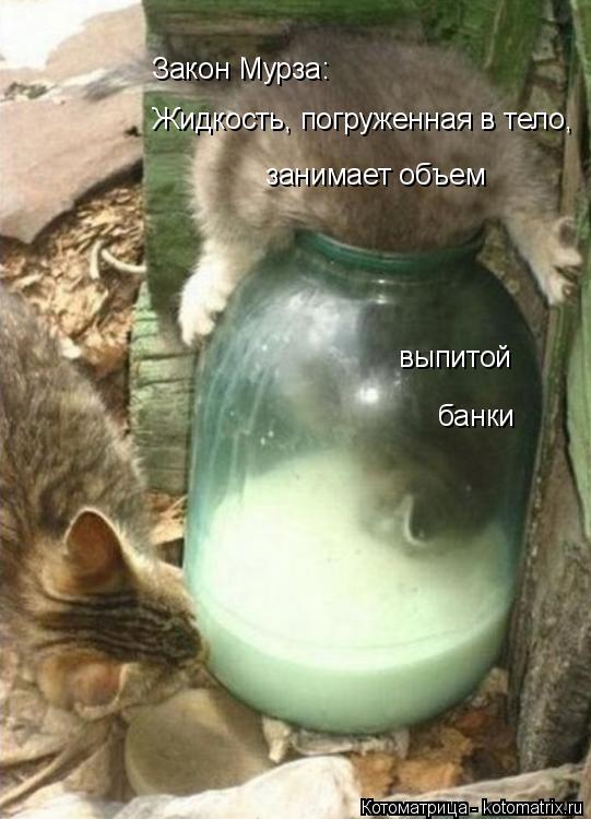 Закон Мурза: Жидкость, погруженная в тело, занимает объем выпитой банки... Котоматрица: Закон Мурза: Жидкость, погруженная в тело, занимает объем выпитой банки