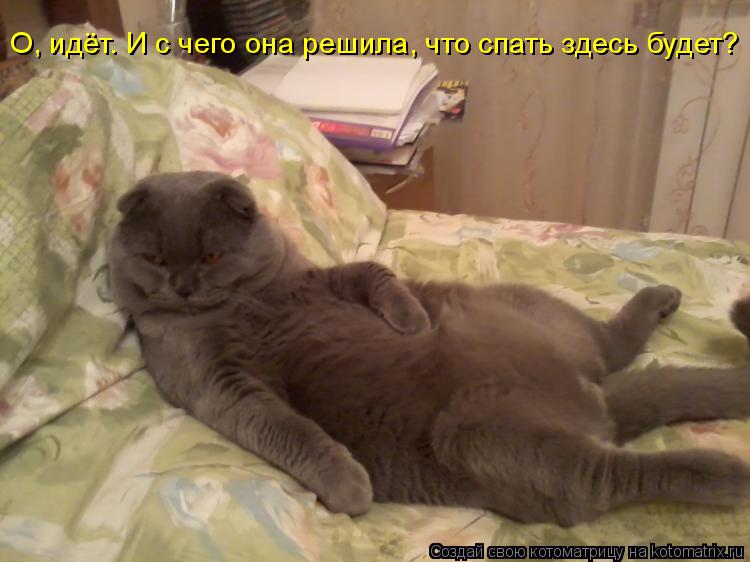 Котоматрица: О, идёт. И с чего она решила, что спать здесь будет?