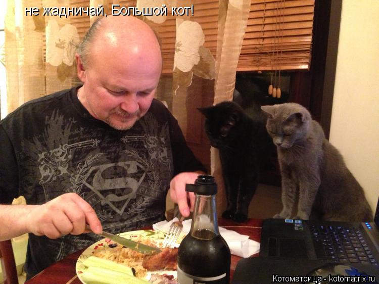 Котоматрица: не жадничай, Большой кот!