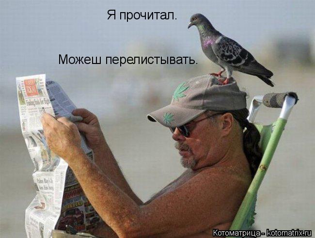 Котоматрица: Я прочитал. Можеш перелистывать.