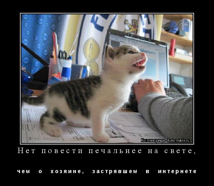 Котоматрица: Нет повести печальнее на свете, ч е м      о      х о з я и н е ,      з а с т р я в ш е м      в      и н т е р н е т е