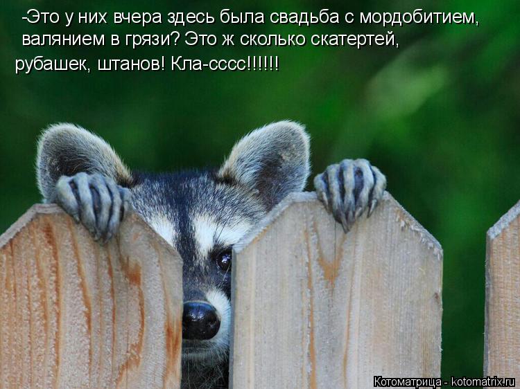 -Это у них вчера здесь была свадьба с мордобитием, валянием в грязи? Это ж сколько скатертей, рубашек... Котоматрица: -Это у них вчера здесь была свадьба с мордобитием, валянием в грязи? Это ж сколько скатертей, рубашек, штанов! Кла-сссс!!!!!!