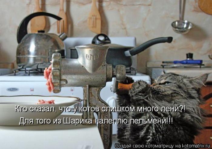 Котоматрица: Кто сказал, что у котов слишком много лени?! Для того из Шарика налеплю пельмени!!!