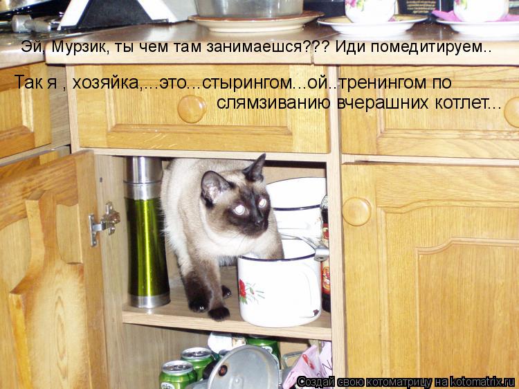 Котоматрица: Так я , хозяйка,...это...стырингом...ой..тренингом по слямзиванию вчерашних котлет... Эй, Мурзик, ты чем там занимаешся??? Иди помедитируем..