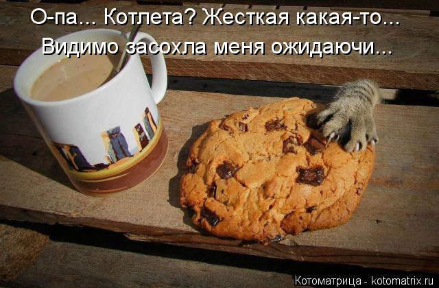 О-па... Котлета? Жесткая какая-то... Видимо засохла меня ожидаючи...... Котоматрица: О-па... Котлета? Жесткая какая-то... Видимо засохла меня ожидаючи...
