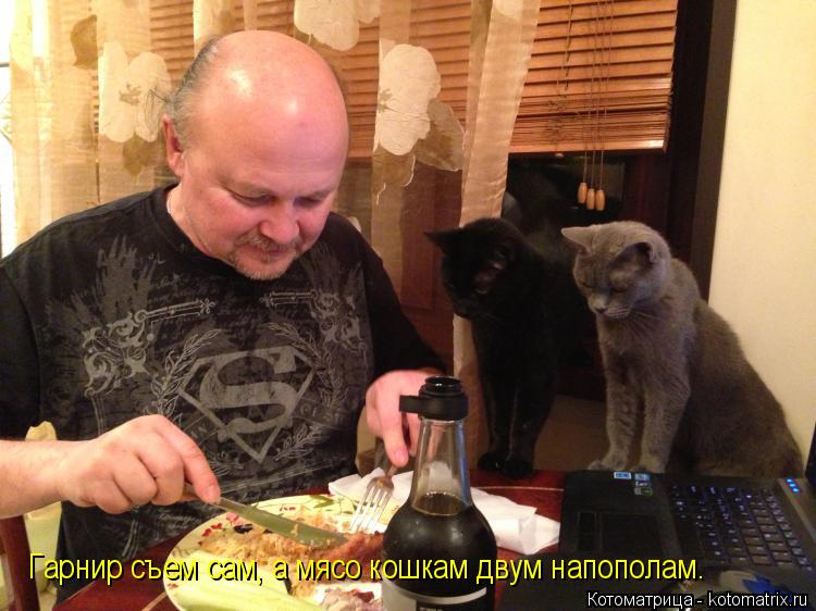 Котоматрица: Гарнир съем сам, а мясо кошкам двум напополам.