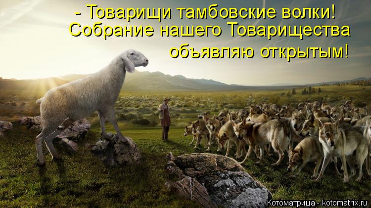 Собрание нашего Товарищества - Товарищи тамбовские волки! объявляю открытым!... Котоматрица: Собрание нашего Товарищества - Товарищи тамбовские волки! объявляю открытым!