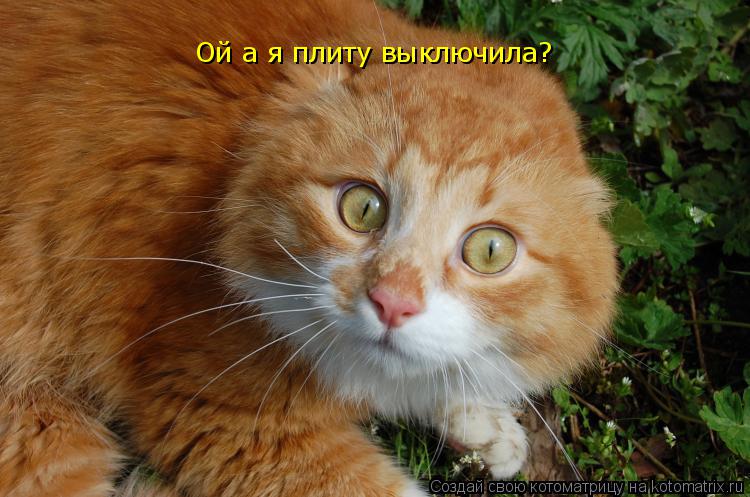 Котоматрица: Ой а я плиту выключила?