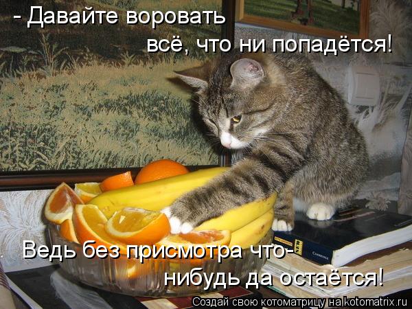 - Давайте воровать всё, что ни попадётся! Ведь без присмотра что- нибудь да остаётся!... Котоматрица: - Давайте воровать всё, что ни попадётся! Ведь без присмотра что- нибудь да остаётся!
