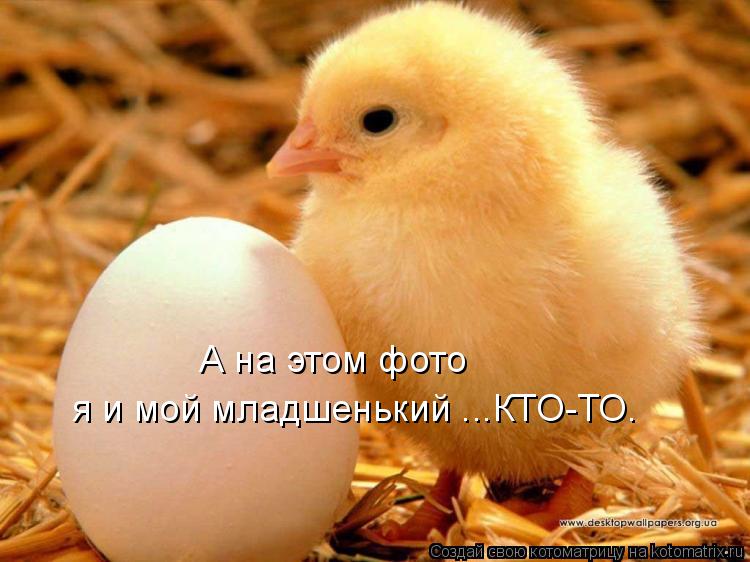Котоматрица: А на этом фото  я и мой младшенький ...КТО-ТО.