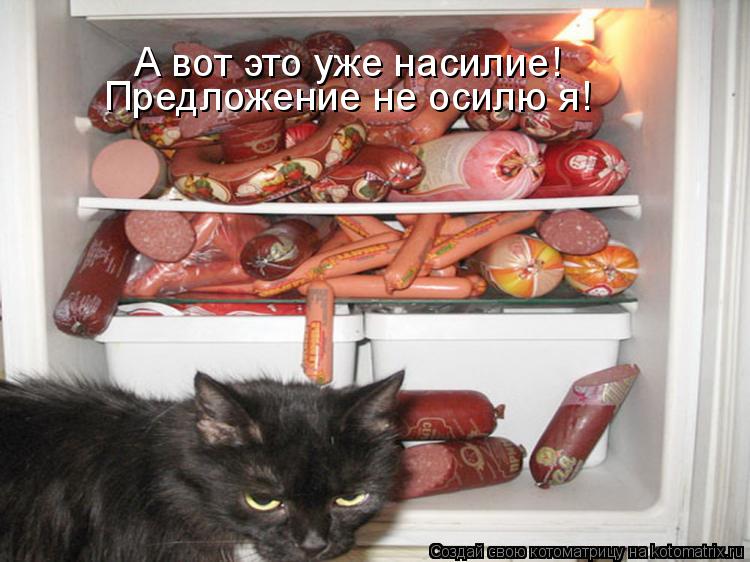 А вот это уже насилие! Предложение не осилю я!... Котоматрица: А вот это уже насилие! Предложение не осилю я!