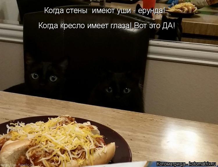 Котоматрица: Когда кресло имеет глаза! Вот это ДА! Когда стены  имеют уши - ерунда!