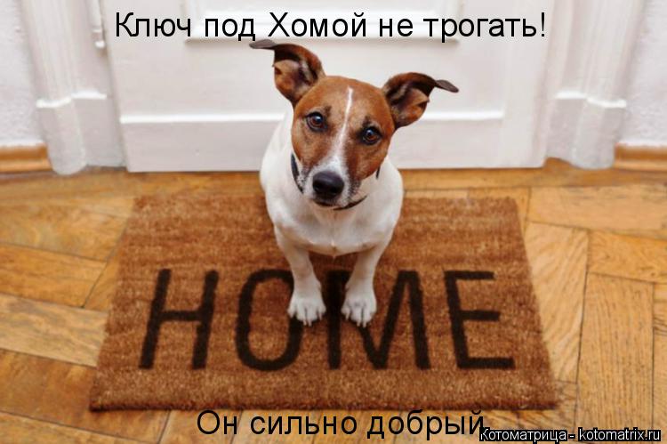Котоматрица: Ключ под Хомой не трогать! Он сильно добрый
