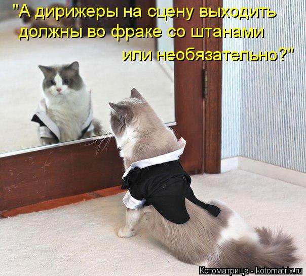 "А дирижеры на сцену выходить должны во фраке со штанами или необязательно?"... Котоматрица: "А дирижеры на сцену выходить должны во фраке со штанами или необязательно?"