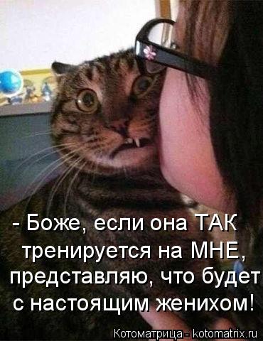 - Боже, если она ТАК тренируется на МНЕ, представляю, что будет с настоящим женихом!... Котоматрица: - Боже, если она ТАК тренируется на МНЕ, представляю, что будет с настоящим женихом!