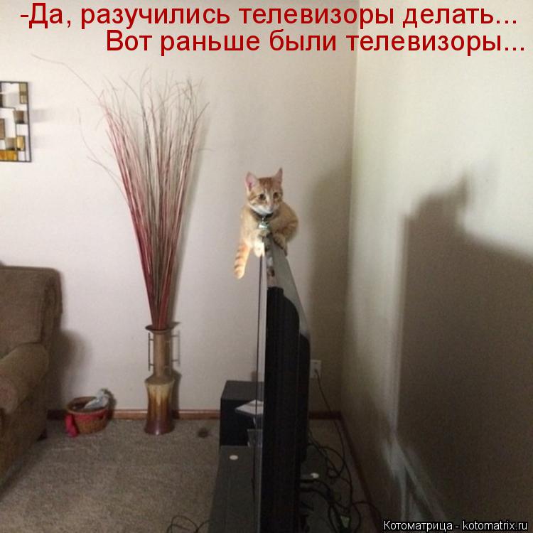 Котоматрица: -Да, разучились телевизоры делать... Вот раньше были телевизоры...