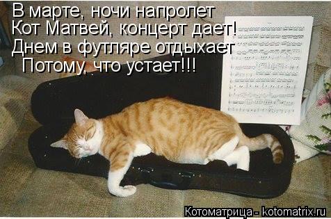Котоматрица: В марте, ночи напролет Кот Матвей, концерт дает! Днем в футляре отдыхает Потому, что устает!!!