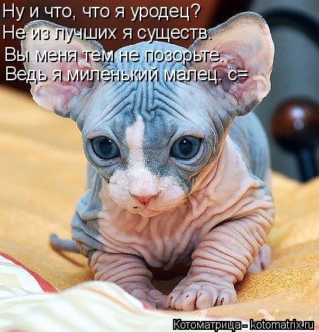 Ну и что, что я уродец? Не из лучших я существ. Вы меня тем не позорьте. Ведь я миленький малец. с=... Котоматрица: Ну и что, что я уродец? Не из лучших я существ. Вы меня тем не позорьте. Ведь я миленький малец. с=