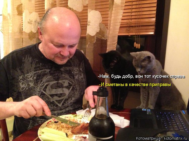 -И сметаны в качестве приправы -Нам, будь добр, вон тот кусочек справа... Котоматрица: -И сметаны в качестве приправы -Нам, будь добр, вон тот кусочек справа