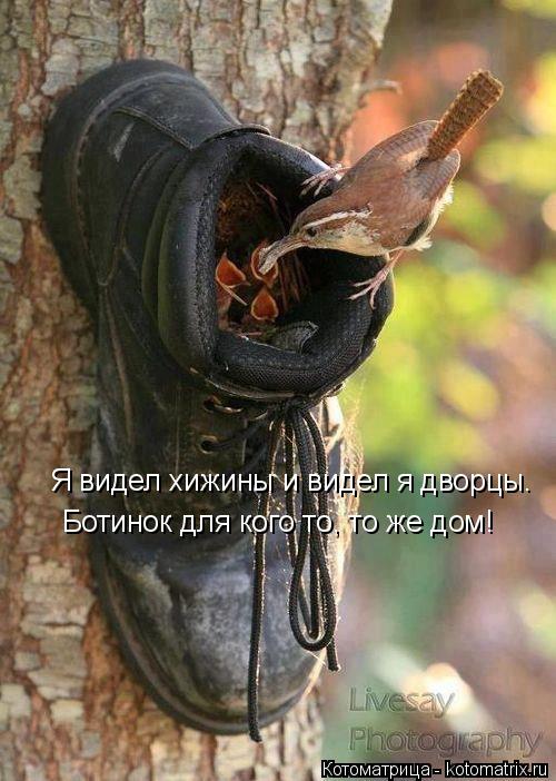 Я видел хижины и видел я дворцы. Ботинок для кого то, то же дом!... Котоматрица: Я видел хижины и видел я дворцы. Ботинок для кого то, то же дом!