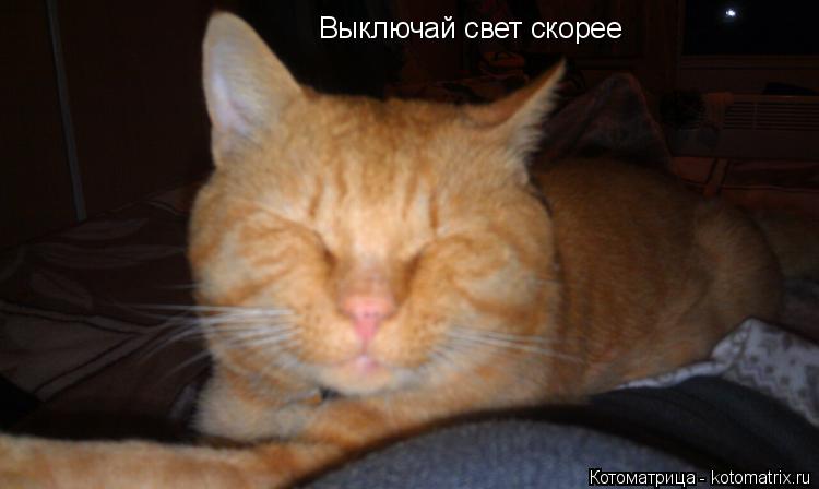 Котоматрица: Выключай свет скорее