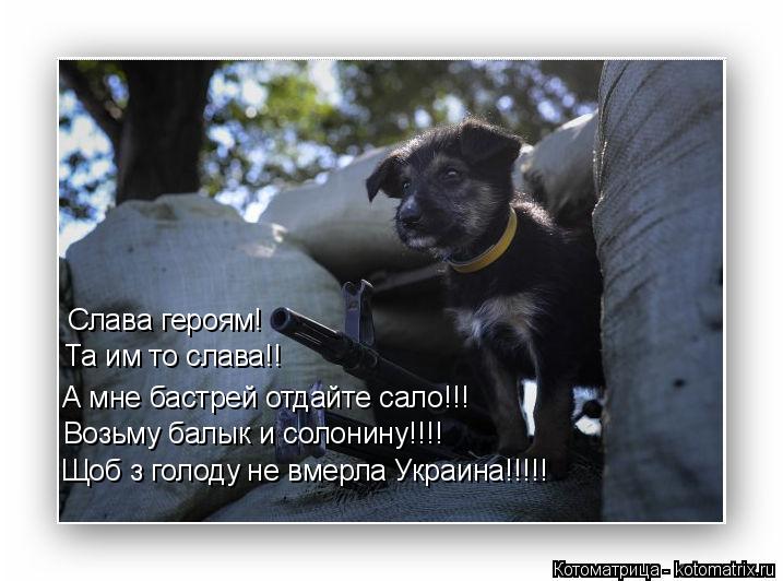 Котоматрица: Слава героям! Та им то слава!! А мне бастрей отдайте сало!!! Возьму балык и солонину!!!! Щоб з голоду не вмерла Украина!!!!!