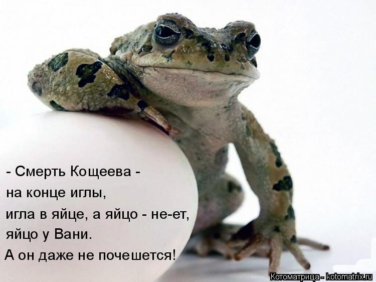 Котоматрица: А он даже не почешется! яйцо у Вани. на конце иглы, игла в яйце, а яйцо - не-ет,  - Смерть Кощеева -