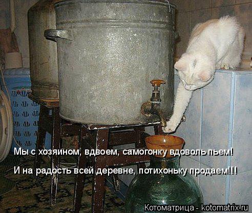Мы с хозяином, вдвоем, самогонку вдоволь пьем! И на радость всей деревне, потихоньку продаем!!!... Котоматрица: Мы с хозяином, вдвоем, самогонку вдоволь пьем! И на радость всей деревне, потихоньку продаем!!!