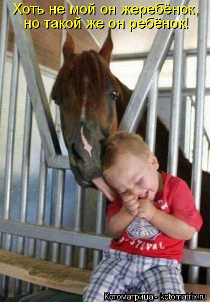 Котоматрица: Хоть не мой он жеребёнок, но такой же он ребёнок!