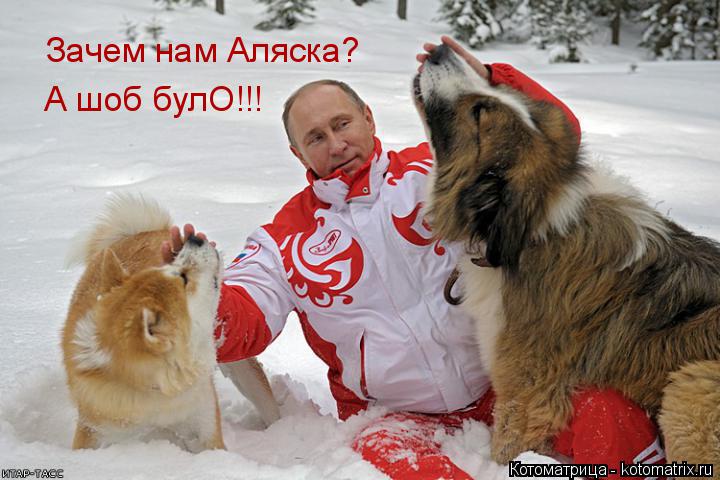 Котоматрица: Зачем нам Аляска? А шоб булО!!!