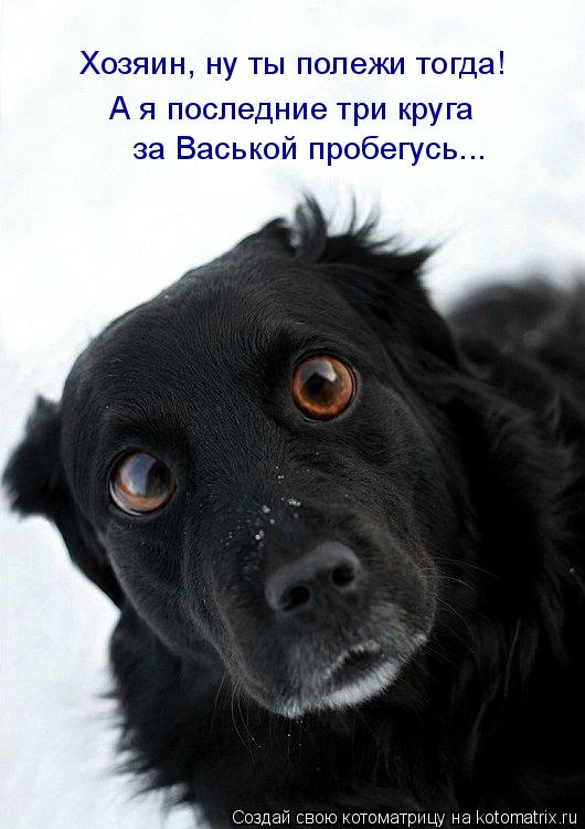 Котоматрица: Хозяин, ну ты полежи тогда! А я последние три круга  за Васькой пробегусь...