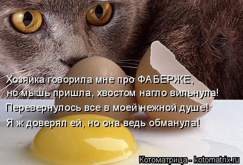 Хозяйка говорила мне про ФАБЕРЖЕ, но мышь пришла, хвостом нагло вильнула! Перевернулось все в моей не... Котоматрица: Хозяйка говорила мне про ФАБЕРЖЕ, но мышь пришла, хвостом нагло вильнула! Перевернулось все в моей нежной душе! Я ж доверял ей, но она ведь об
