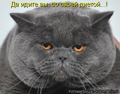 Котоматрица: Да идите вы, со своей диетой...!