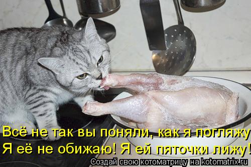 Котоматрица: Я её не обижаю! Я ей пяточки лижу! Всё не так вы поняли, как я погляжу.