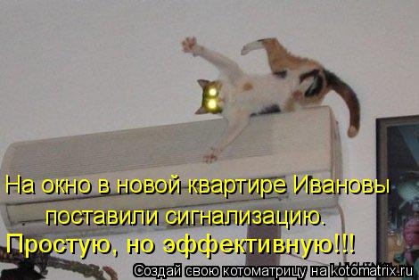 На окно в новой квартире Ивановы поставили сигнализацию. Простую, но эффективную!!!... Котоматрица: На окно в новой квартире Ивановы поставили сигнализацию. Простую, но эффективную!!!