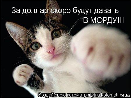 За доллар скоро будут давать В МОРДУ!!!... Котоматрица: За доллар скоро будут давать В МОРДУ!!!
