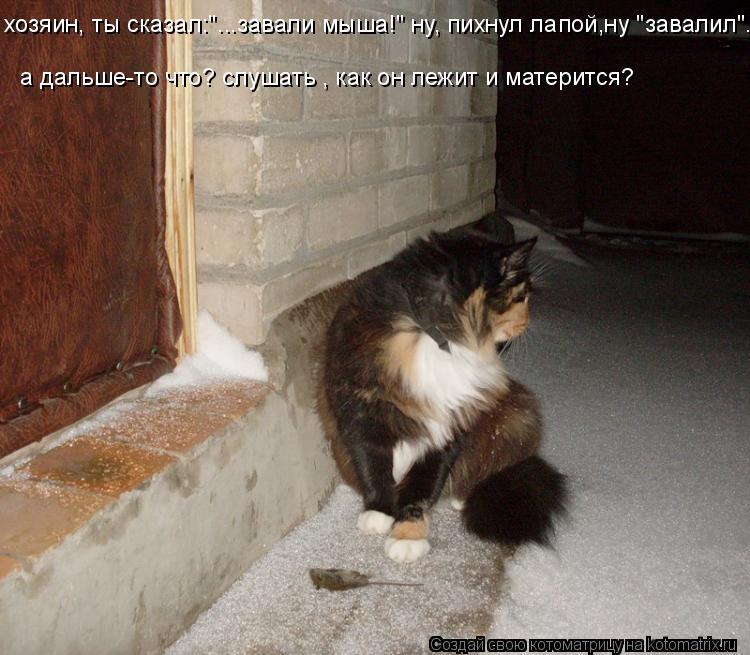 Котоматрица: хозяин, ты сказал:"...завали мыша!" ну, пихнул лапой,ну "завалил". а дальше-то что? слушать , как он лежит и матерится?